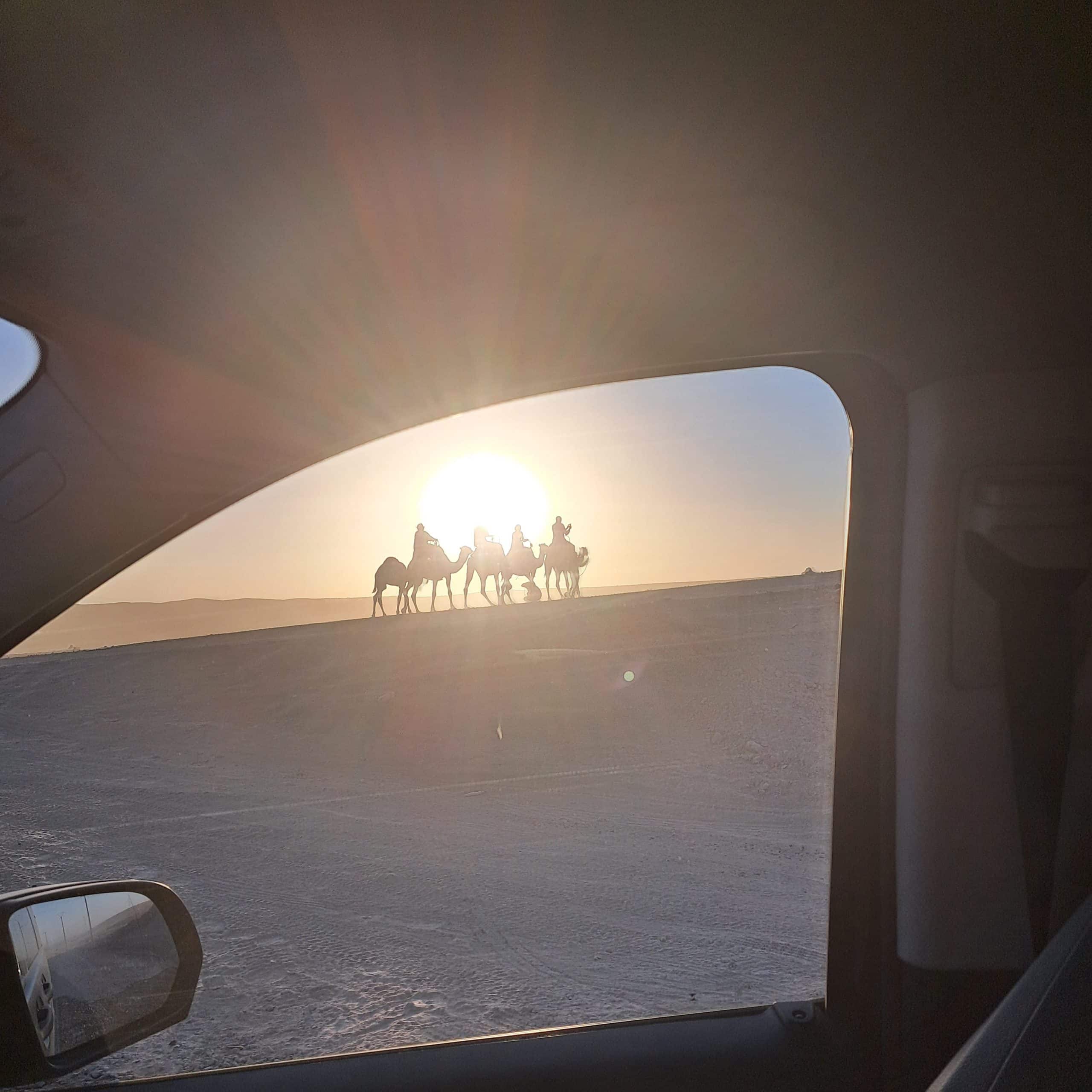 Caravane de dromadaires au coucher du soleil dans le désert marocain